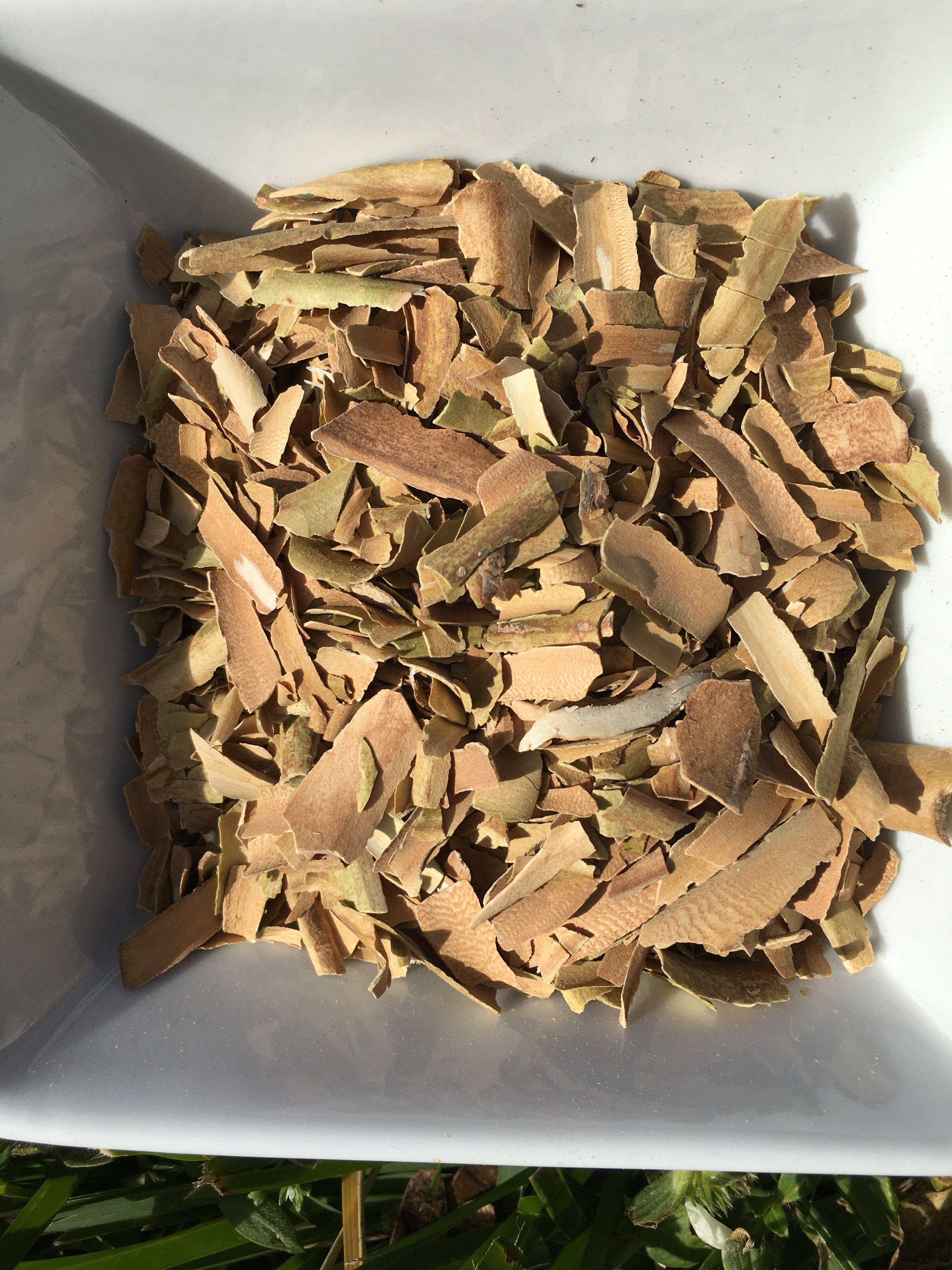 red willow bark tobacco Harvesting anaa, Miskwaabiimizh or Red Willow with Culture Language Arts Network (CLAN) processed with care and respect. Red Willow Bark Tobacco -